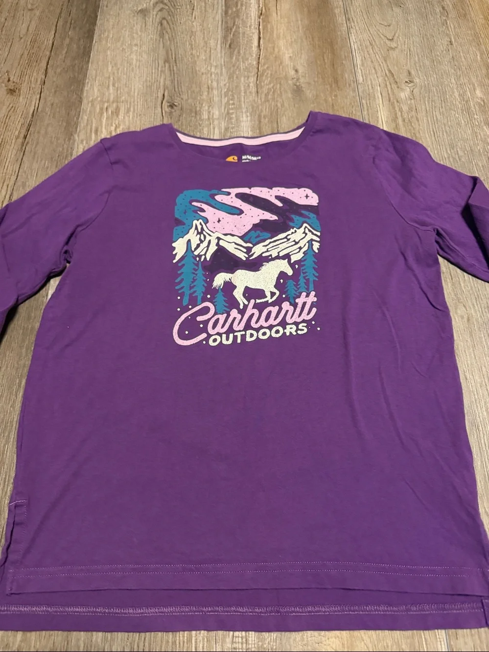 Carhartt Purple Long Sleeve Tee with Pink, Teal, White Graphic